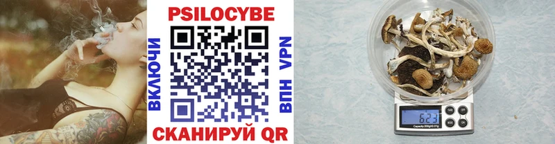 Галлюциногенные грибы GOLDEN TEACHER  хочу наркоту  Новоузенск 